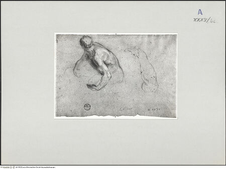 Vorderseite von bh135325_recto