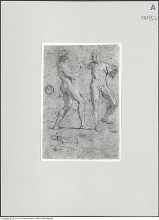 Vorderseite von bh135327_recto