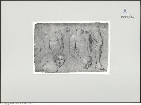 Vorderseite von bh135330_recto