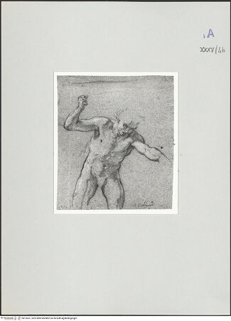 Vorderseite von bh135331_recto