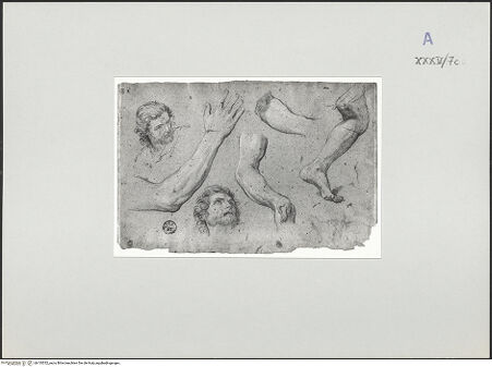 Vorderseite von bh135332_recto