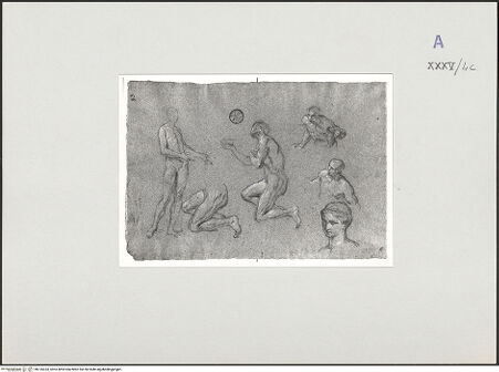 Vorderseite von bh135333_recto