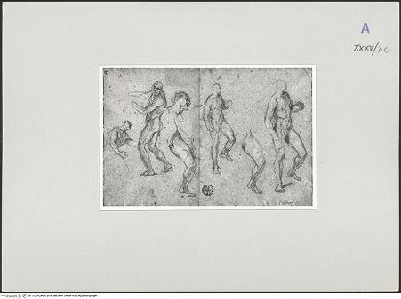 Vorderseite von bh135334_recto