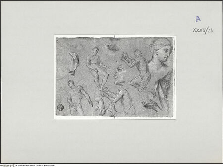 Vorderseite von bh135335_recto