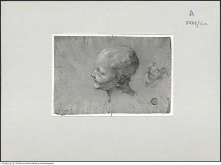 Vorderseite von bh135336_recto