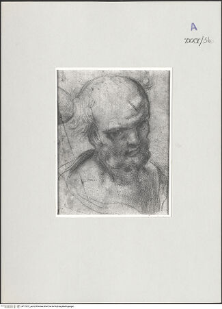 Vorderseite von bh135337_recto