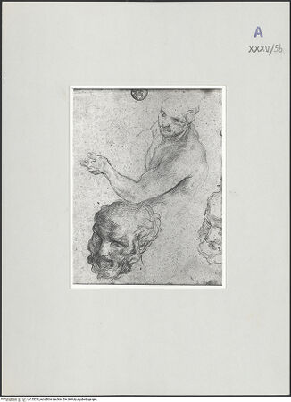 Vorderseite von bh135338_recto