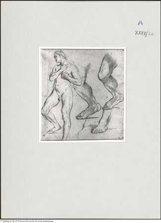 Vorderseite von bh135340_recto