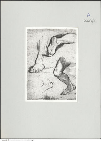 Vorderseite von bh135341_recto