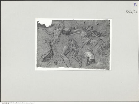 Vorderseite von bh135344_recto