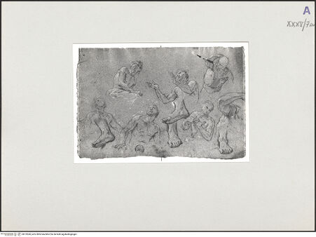 Vorderseite von bh135345_recto