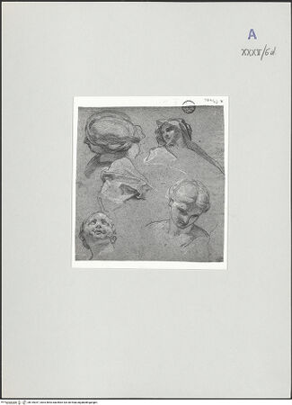 Vorderseite von bh135347_recto