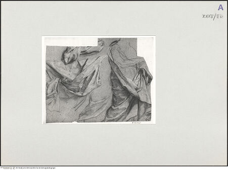 Vorderseite von bh135348_recto