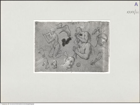 Vorderseite von bh135349_recto