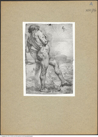 Vorderseite von bh135350_recto