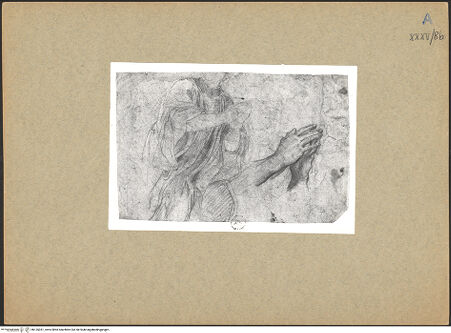 Vorderseite von bh135351_recto