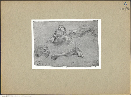 Vorderseite von bh135352_recto