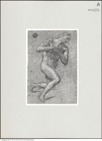 Vorderseite von bh135362_recto