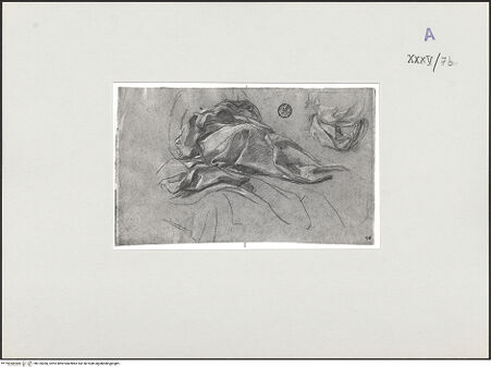 Vorderseite von bh135366_recto