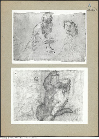 Vorderseite von bh135368_bh135369_recto