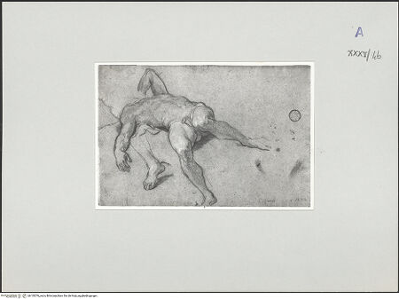 Vorderseite von bh135376_recto