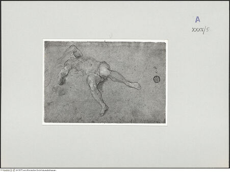 Vorderseite von bh135377_recto