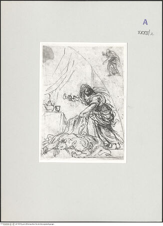 Vorderseite von bh135378_recto