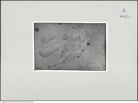 Vorderseite von bh135383_recto