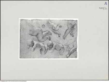 Vorderseite von bh135391_recto