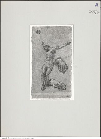 Vorderseite von bh135393_recto