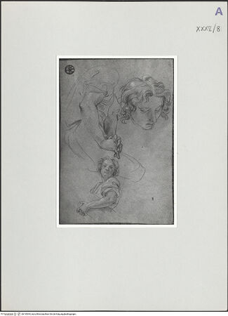 Vorderseite von bh135394_recto