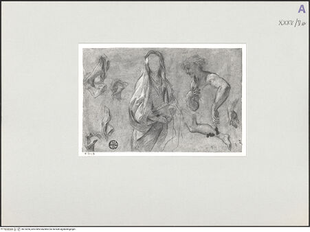 Vorderseite von bh135396_recto