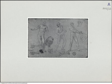 Vorderseite von bh135399_recto