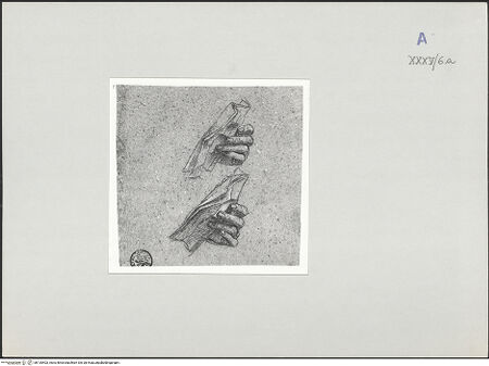 Vorderseite von bh135403_recto