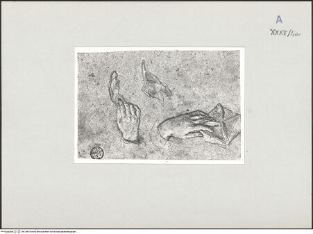 Vorderseite von bh135404_recto