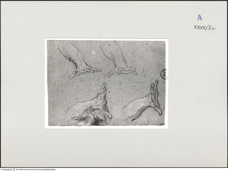 Vorderseite von bh135406_recto