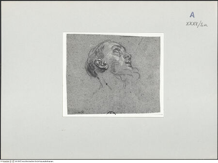 Vorderseite von bh135407_recto