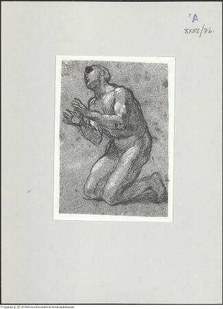 Vorderseite von bh135409_recto