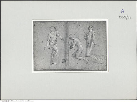 Vorderseite von bh135411_recto