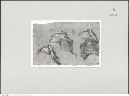 Vorderseite von bh135413_recto