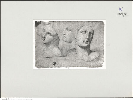 Vorderseite von bh135414_recto