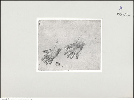 Vorderseite von bh135415_recto