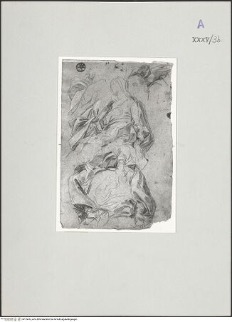 Vorderseite von bh135416_recto