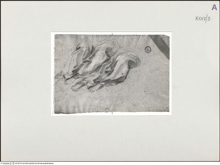 Vorderseite von bh135419_recto