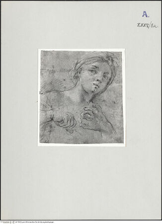 Vorderseite von bh135423_recto