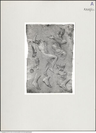 Vorderseite von bh135424_recto