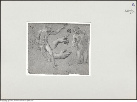 Vorderseite von bh135426_recto