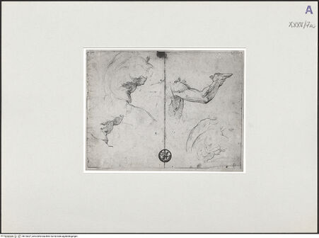 Vorderseite von bh135427_recto