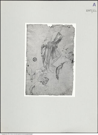 Vorderseite von bh135432_recto