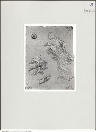 Vorderseite von bh135433_recto